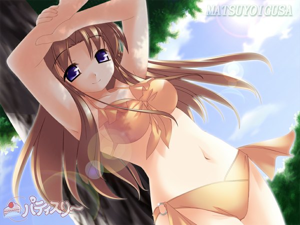 Anime picture 1024x768 with long hair breasts blue eyes light erotic brown hair shadow dutch angle swimsuit plant (plants) bikini tree (trees)