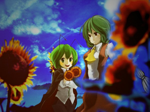 Anime picture 1048x786 with touhou kazami yuuka wriggle nightbug tom (pixiv200709) smile red eyes holding green eyes animal ears sky cloud (clouds) green hair depth of field antennae girl flower (flowers) sunflower