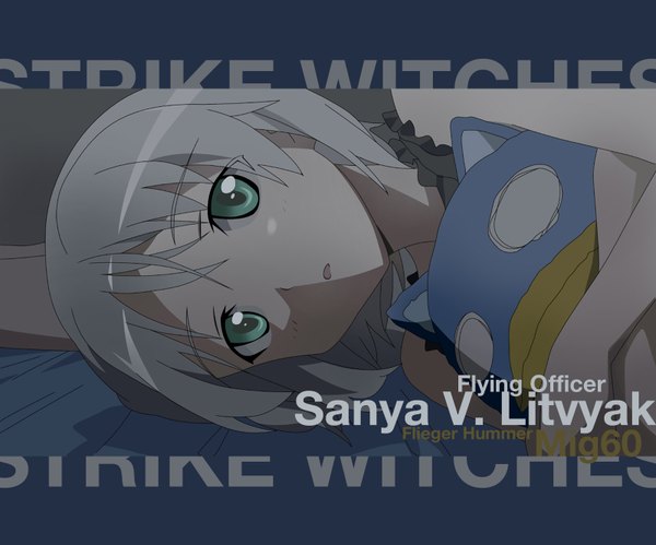 Anime picture 1600x1333 with strike witches tagme