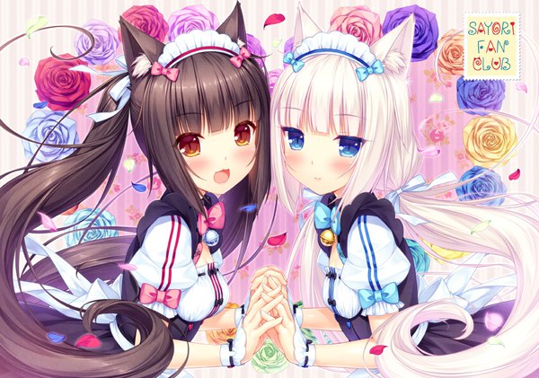 イラスト 1000x703 と neko paradise neko works (studio) バニラ ショコラ(ネコぱら) さより 長髪 カメラ目線 赤面 前髪 開いた口 青い目 黒髪 ツインテール multiple girls 獣耳 payot upper body white hair blunt bangs 猫耳