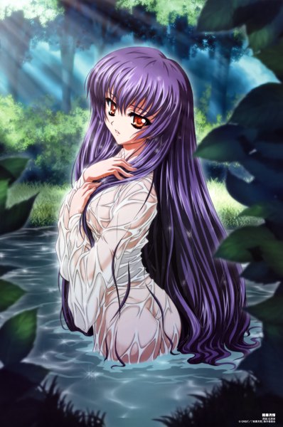 Anime picture 4079x6151 with touka gettan kikyou (touka gettan) ishihara megumi long hair tall image highres light erotic absurdres purple hair wet clothes girl plant (plants) tree (trees) water