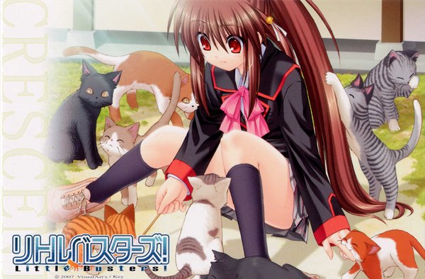 Аниме картинка 1750x1150 с маленькие проказники key (studio) natsume rin na-ga длинные волосы высокое разрешение плиссированная юбка форма школьная форма мини-юбка носки носки (чёрные) колокольчик кот (кошка)
