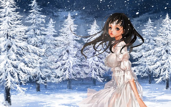 Anime picture 1920x1200 with original justminor single long hair looking at viewer blush highres black hair grey eyes snowing winter snow scenic girl dress plant (plants) tree (trees) white dress