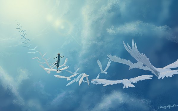 Anime picture 1920x1200 with tagme (artist) single highres short hair wide image standing sky cloud (clouds) shadow spread arms flying girl dress animal bird (birds)