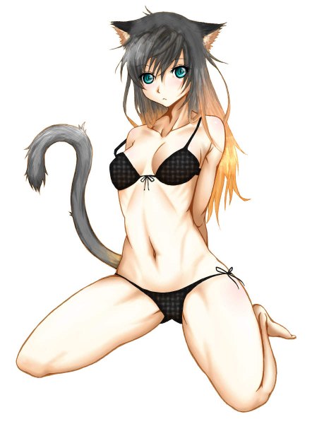 Anime picture 884x1200 with original 191karasu single long hair tall image looking at viewer breasts blue eyes light erotic bare shoulders animal ears tail animal tail multicolored hair barefoot cat ears two-tone hair bare legs bare belly cat girl