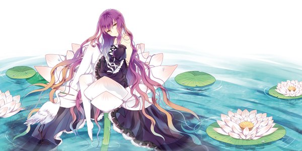 Anime picture 1554x777 with touhou hijiri byakuren domotolain single looking at viewer wide image yellow eyes purple hair very long hair multicolored hair two-tone hair no shoes wavy hair minigirl girl thighhighs dress flower (flowers) animal white thighhighs