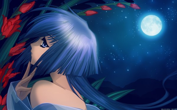 Anime picture 1920x1200 with highres blue eyes wide image blue hair night girl flower (flowers) moon star (stars)