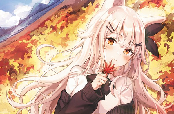 Anime picture 856x563 with original rangu single long hair looking at viewer blush fringe smile hair between eyes holding animal ears sky cloud (clouds) upper body outdoors white hair long sleeves head tilt off shoulder open jacket