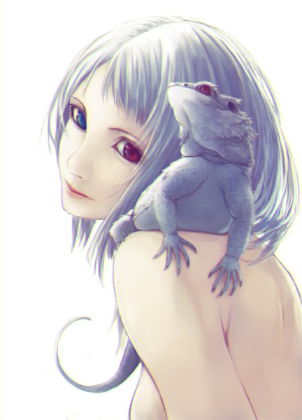 Anime picture 577x800 with original kanden tall image looking at viewer fringe short hair blue eyes light erotic smile bare shoulders white hair pink eyes looking back heterochromia girl animal reptile lizard
