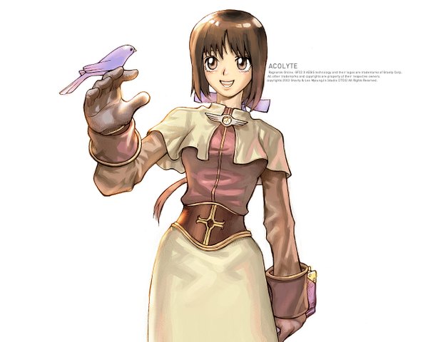 Anime picture 1280x1024 with ragnarok online acolyte (ragnarok online) single long hair simple background brown hair brown eyes ponytail long sleeves text english cropped bird on hand girl dress gloves ribbon (ribbons) hair ribbon animal bird (birds)