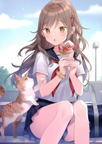 Anime picture 2431x3426 with original rie (reverie) single long hair tall image blush fringe highres open mouth brown hair sitting holding brown eyes looking away sky cloud (clouds) bent knee (knees) outdoors pleated skirt scan
