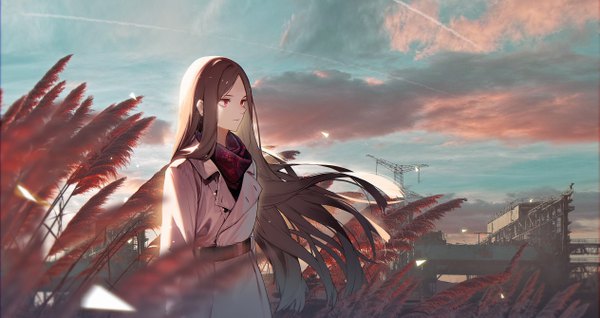 Anime picture 5049x2676 with original doitsu no kagaku single long hair highres red eyes brown hair wide image looking away absurdres sky cloud (clouds) outdoors condensation trail girl plant (plants) cloak susuki grass