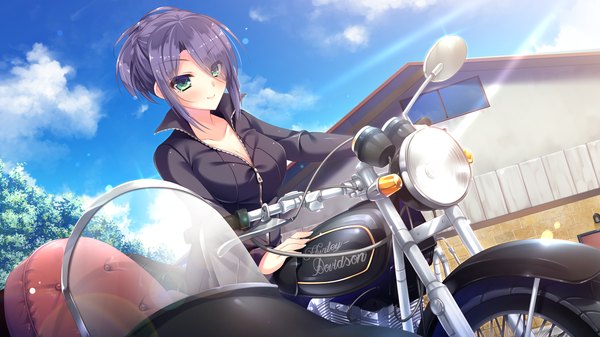 Anime picture 1280x720 with wan nyan a la mode! fumiko mameshiba shepherd single looking at viewer blush black hair wide image green eyes game cg sky cloud (clouds) girl ground vehicle motorcycle