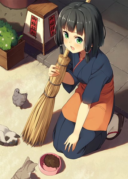 Anime picture 800x1120 with original kinta (distortion) single tall image blush short hair open mouth black hair green eyes traditional clothes japanese clothes kneeling hand on knee girl animal bird (birds) apron cat broom pigeon
