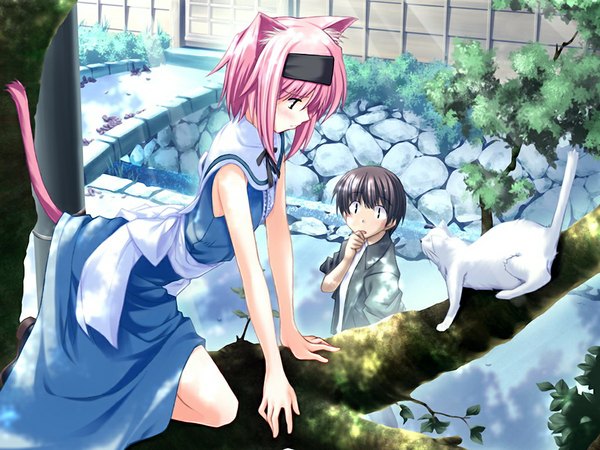 Anime picture 1024x768 with saishuu shiken kujira (game) zexcs yumesaki haruka short hair pink hair game cg cat girl girl cat