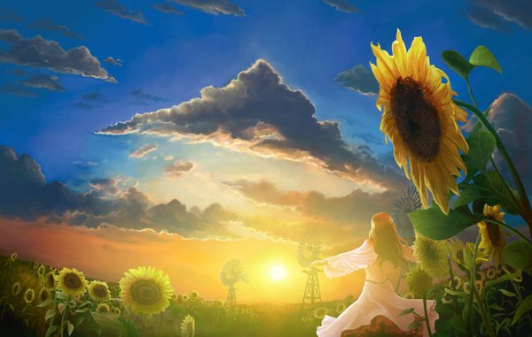 Anime picture 1600x1018 with original hiraoka masamune (artist) brown hair sky cloud (clouds) from behind evening sunset landscape scenic girl sunflower