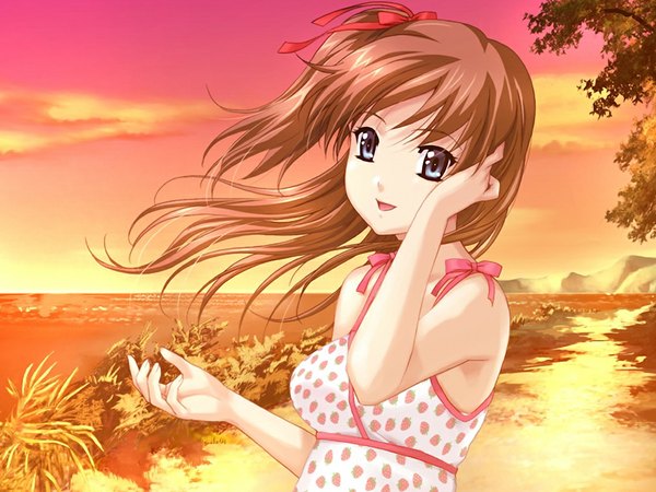Anime picture 1024x768 with resort boin amamiya momona long hair blue eyes brown hair game cg wind girl