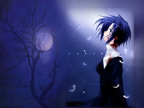 Anime picture 1024x768 with shingetsutan tsukihime type-moon ciel (tsukihime) tagme
