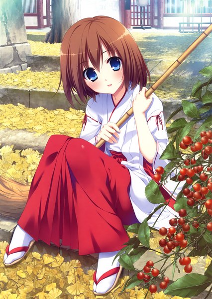 Anime picture 3261x4598 with original eshi 100-nin ten fumio (ura fmo) single tall image looking at viewer blush highres short hair blue eyes brown hair sitting absurdres traditional clothes japanese clothes miko girl leaf (leaves) chihaya (clothing)