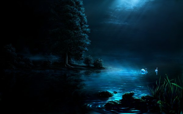 Anime picture 1680x1050 with original fel-x (artist) wide image cloud (clouds) night wallpaper scenic nature lake plant (plants) tree (trees) grass frog swan