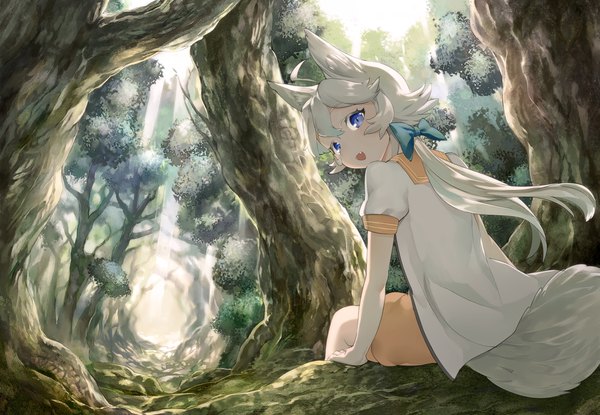 Anime picture 1200x830 with original mikurou (nayuta) long hair open mouth blue eyes animal ears white hair animal tail looking back girl bow plant (plants) hair bow tree (trees) forest