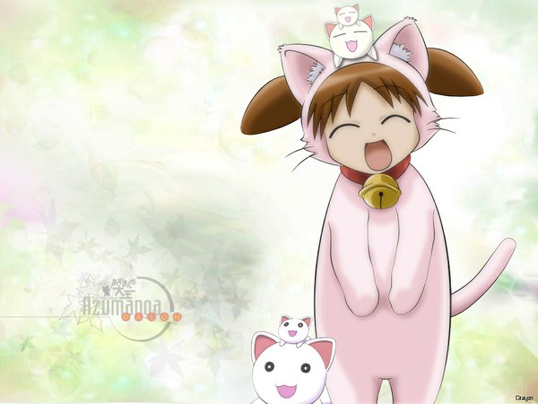Anime picture 1024x768 with azumanga daioh j.c. staff mihama chiyo nekokoneko animal ears cat girl girl