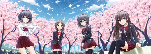 Anime picture 2200x800 with original oshou (artist) long hair highres short hair open mouth blue eyes black hair smile wide image sitting multiple girls brown eyes sky cloud (clouds) black eyes cherry blossoms girl thighhighs skirt