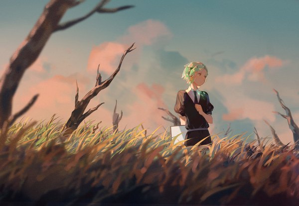 Anime picture 1024x707 with houseki no kuni phosphophyllite tamomoko single short hair standing looking away sky green hair puffy sleeves evening sunset bare tree androgynous uniform plant (plants) tree (trees) grass