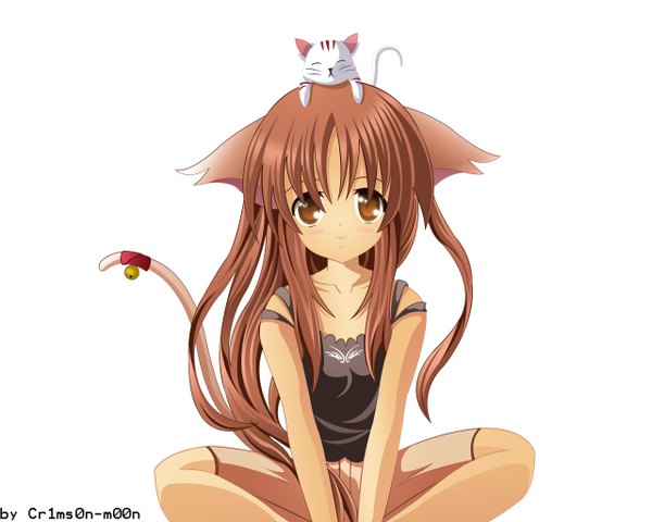 Anime picture 2560x2048 with a school life of heaven (artbook) long hair highres simple background brown hair white background sitting brown eyes animal ears animal tail cat ears cat girl indian style girl animal bell cat