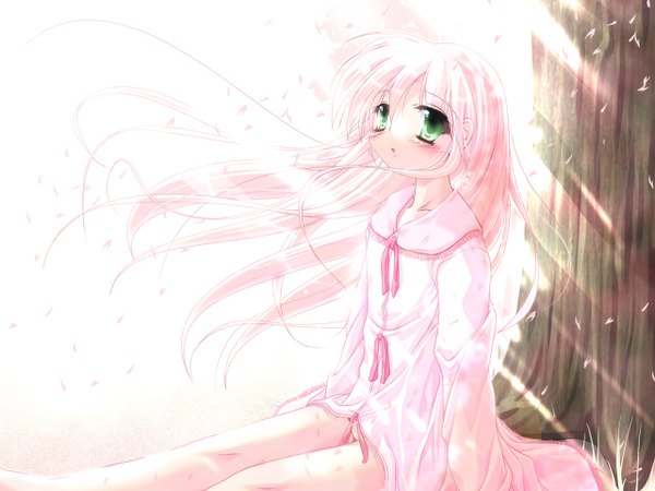 Anime picture 1280x960 with tagme