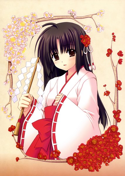 Anime picture 2444x3434 with nishimata aoi single long hair tall image highres black hair brown eyes japanese clothes scan cherry blossoms miko girl flower (flowers) gohei