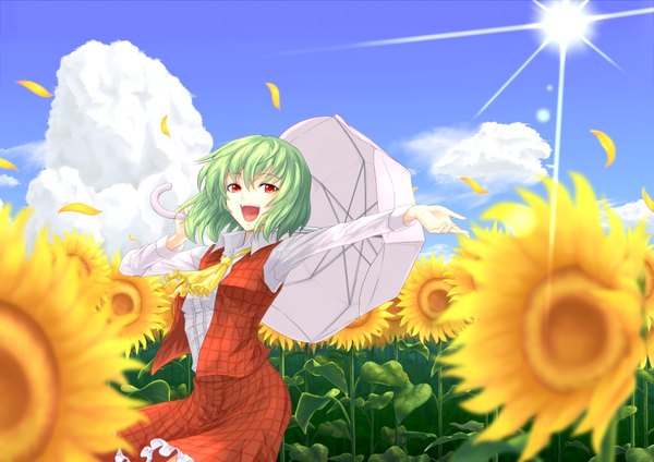 Anime picture 1000x708 with touhou kazami yuuka shimada (simada bu) single fringe short hair open mouth smile hair between eyes red eyes standing holding looking away sky cloud (clouds) outdoors :d green hair wind sunlight