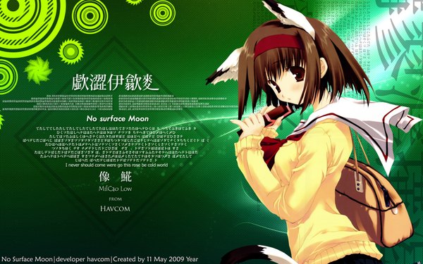 Anime picture 1920x1200 with havcom highres short hair brown hair wide image animal ears tail cat girl green background girl hairband bag