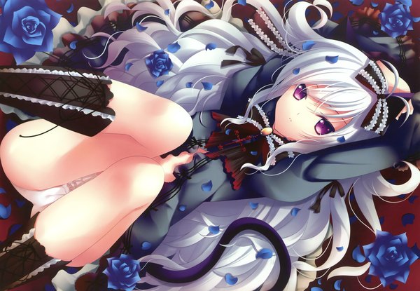Anime picture 2400x1662 with zinno long hair highres light erotic purple eyes white hair animal tail lacing girl underwear panties flower (flowers) bow hair bow petals boots rose (roses) blue rose