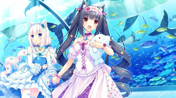 Anime picture 1280x720 with neko paradise neko works (studio) vanilla (nekopara) chocola (nekopara) sayori long hair blush fringe blue eyes black hair wide image twintails multiple girls brown eyes animal ears pink hair tail animal tail cat ears cat girl