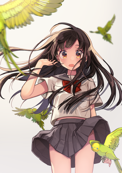Anime picture 1060x1500 with original shigure ui single long hair tall image looking at viewer blush fringe open mouth black hair simple background hair between eyes brown eyes pleated skirt wind blurry short sleeves surprised upskirt girl