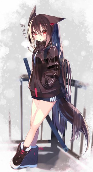 Anime picture 545x1006 with original asaki yukiko nekoboshi sakko single tall image looking at viewer blush fringe hair between eyes red eyes brown hair standing animal ears payot full body ponytail tail very long hair parted lips animal tail