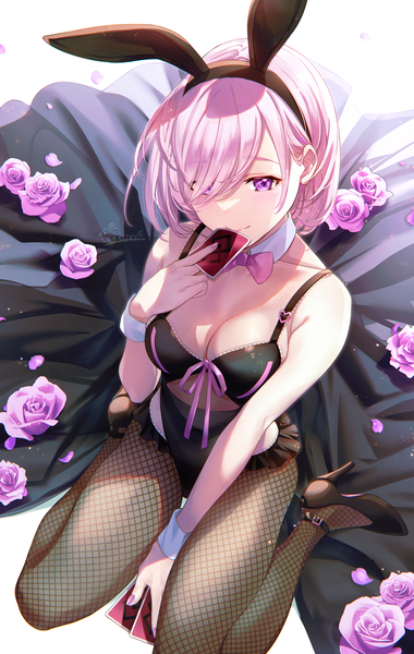 Anime picture 1900x2997 with fate (series) fate/grand order mash kyrielight cokecoco single tall image looking at viewer blush fringe highres short hair breasts light erotic large breasts sitting purple eyes holding signed animal ears pink hair