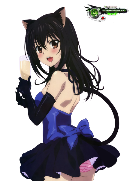 Anime picture 3090x4282 with strike the blood himeragi yukina imoto yuki otakurenders-service single tall image looking at viewer blush fringe highres breasts open mouth light erotic black hair bare shoulders holding brown eyes animal ears absurdres ass