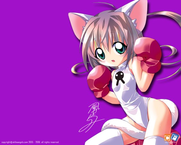 Anime picture 1280x1024 with looking at viewer open mouth simple background animal ears cat girl cat tail girl boxing gloves kazakami shun
