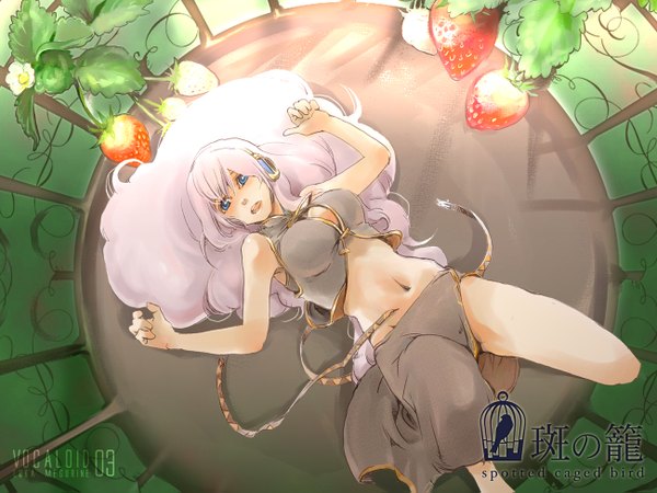 Anime picture 1300x975 with vocaloid megurine luka sachio long hair breasts blue eyes light erotic pink hair lying from behind midriff side slit girl navel food headphones berry (berries) strawberry cage