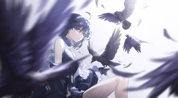 Anime picture 5290x2900 with arknights la pluma (arknights) wushier single looking at viewer fringe highres short hair blue eyes black hair hair between eyes wide image sitting absurdres ahoge bird on hand girl gloves animal black gloves