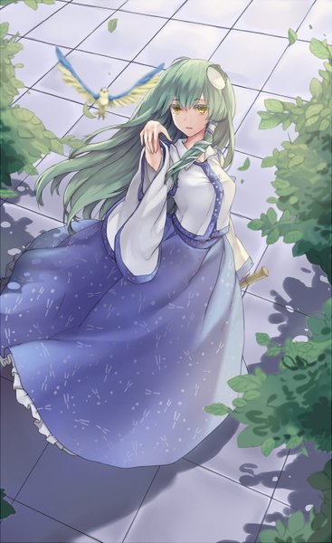 Anime picture 858x1400 with touhou kochiya sanae hug (yourhug) single long hair tall image yellow eyes traditional clothes japanese clothes green hair from above wind shadow girl hair ornament plant (plants) animal tree (trees) hairclip bird (birds)