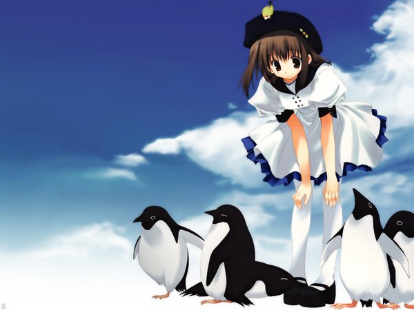 Anime picture 1600x1200 with original mitsumi misato short hair brown hair animal on head bird on head girl animal bird (birds) penguin