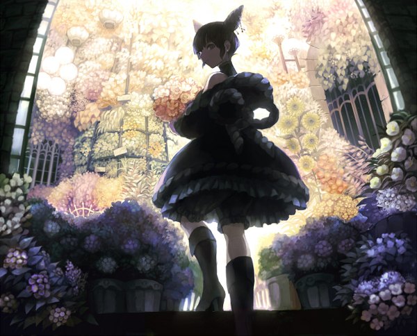 Anime picture 1333x1077 with original mikebosi single looking at viewer short hair brown eyes purple hair turning head backlighting girl dress flower (flowers) plant (plants) choker boots frills bouquet potted plant sunflower