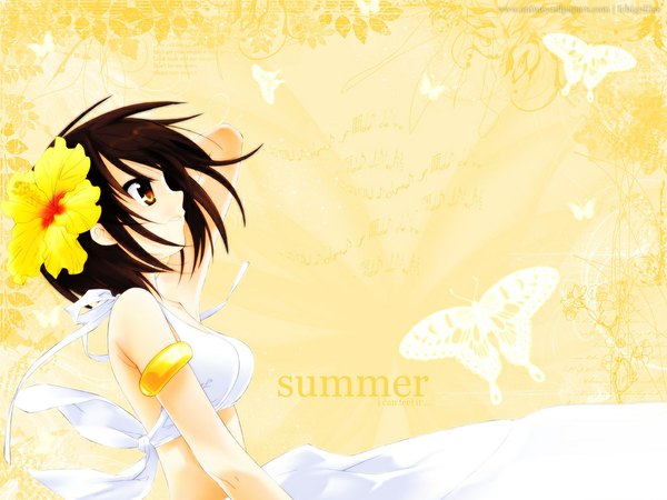 Anime picture 1024x768 with suzumiya haruhi no yuutsu kyoto animation suzumiya haruhi yellow background summer girl swimsuit
