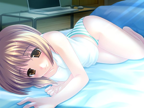 Anime picture 1024x768 with zettai imouto shijoushugi (game) light erotic brown hair brown eyes game cg girl underwear panties