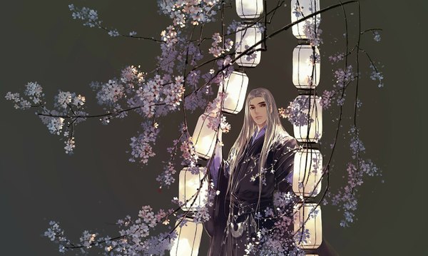 Anime picture 1361x816 with original ibuki satsuki single long hair wide image looking away silver hair traditional clothes japanese clothes black eyes grey background cherry blossoms boy flower (flowers) plant (plants) tree (trees) lantern