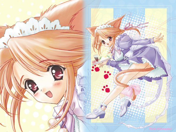 Anime picture 1024x768 with animal ears maid cat girl waitress girl