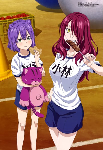 Anime-Bild 4082x5925 mit shokugeki no soma j.c. staff megami magazine kobayashi rindou akanegakubo momo tanigawa ryousuke long hair tall image blush fringe highres short hair multiple girls green eyes yellow eyes absurdres purple hair red hair from above hair over one eye